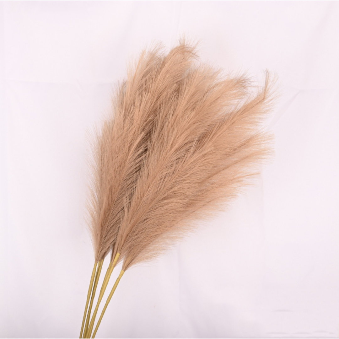 Pampas Grass Spray
